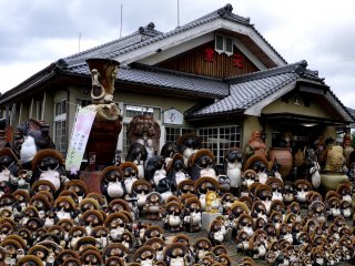 Hundreds of small tanuki statues