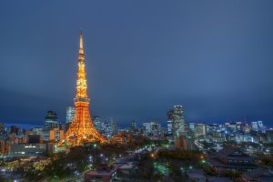 This is the type of view you can see from the Tokyo Tower side.