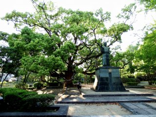 Impressive big tree and statue of Hachisuka Iemasa, the first lord of Tokushima