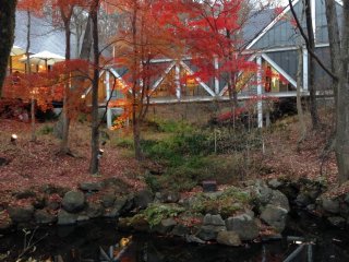 Seiji&nbsp;Fujishiro&nbsp;Gallery surrounded by beautiful autumn leaves