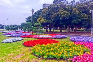 Just a small selection of Yamashita Park&rsquo;s many beautifully colored flower bed displays