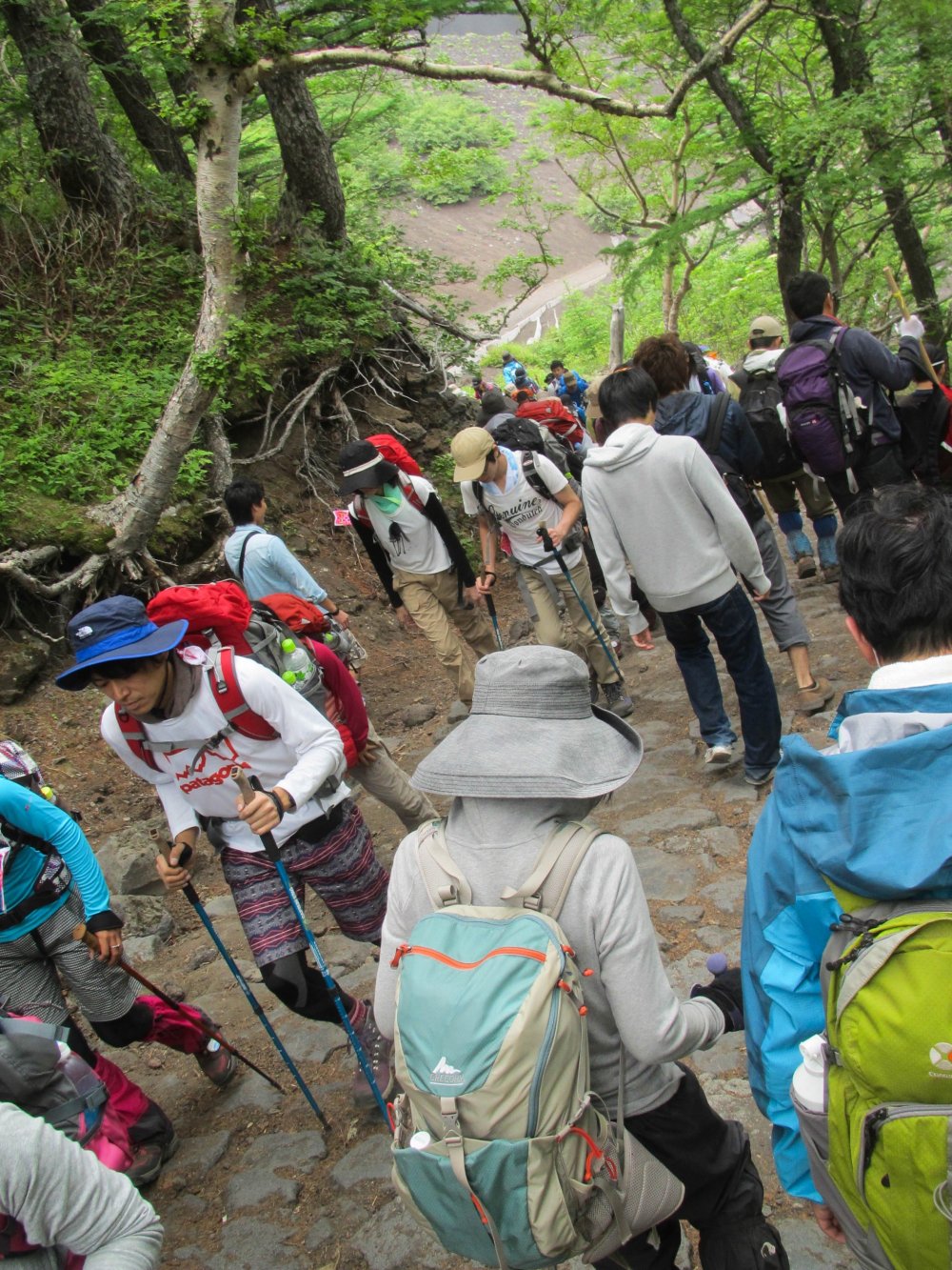 Many people hike up Mount Fuji each year.