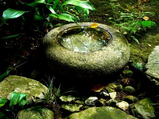 Water in a stone basin