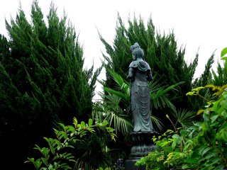 A statue of Kannon peeps between overgrown cypress trees