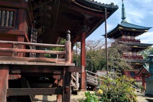 Itabashi Fudouson Shrine