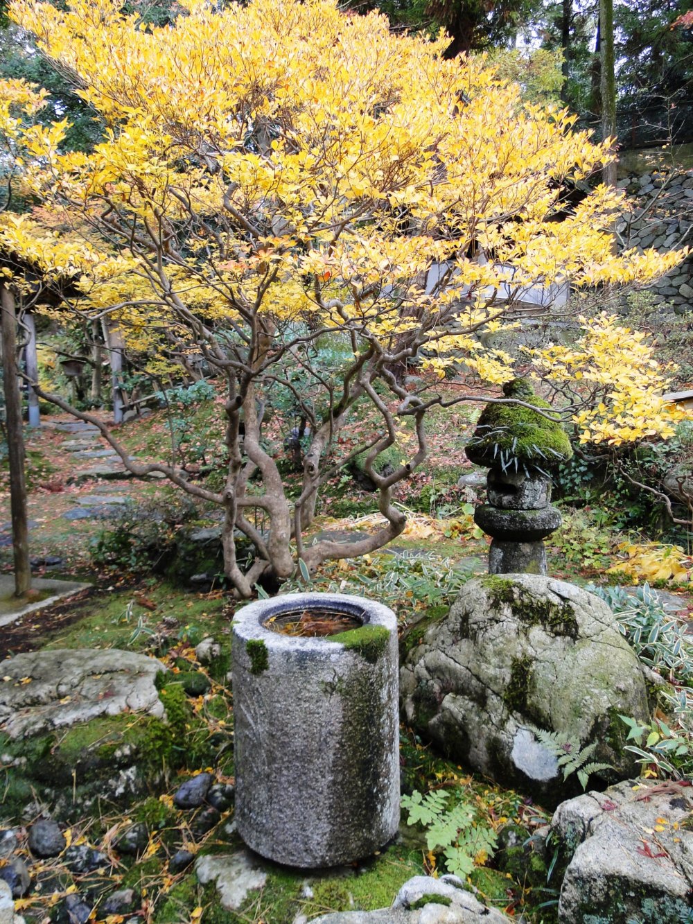 A uniquely-shaped chozubachi(water basin) in the garden