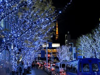 These trees have a blue colour, so it&#39;s up to you which colour you want in your photos. The Tokyo Tower building in the background looks warmer if the tree&nbsp;colour is blue instead of red.&nbsp;