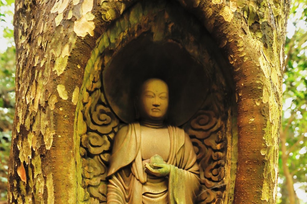 Usually, Buddhist statues are carved on dry wood, but this statue is carved into a living tree