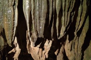 The stalactites and stalagmites grow 1 mm per year.