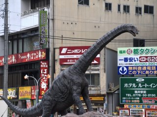 A fossil of Fukui-titan was found in Katsuyama City in 2007. Its estimated body length is about 10 meters, and this replica is 6 meters high.