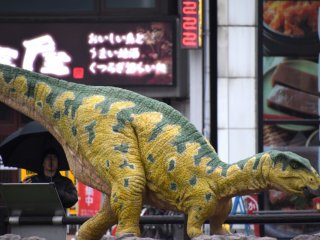 Fukui-saurus, also found in Katsuyama, is about 4.7 meters in body length, and this moving, howling replica is 2.65 meters high.