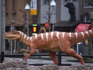 This is the real? Fukui-raptor, found in Katsuyama City has a body length of 4.2 meters. The replica is 2.5 meter high.
