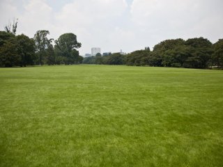 Large parts of the park are wide open soft green grass, ideal for relaxing and enjoying the sunshine