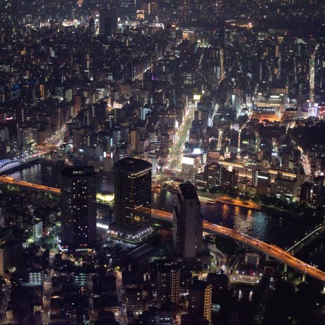 The Tokyo Skyline by Day Or Night