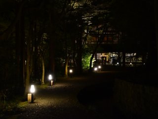 Night-time view of Wakadori