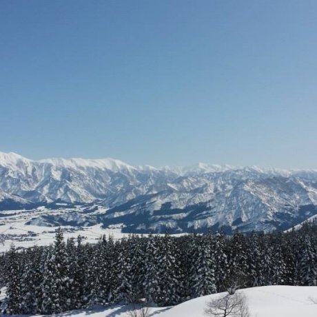 Joetsu Kokusai Ski Resort - Niigata