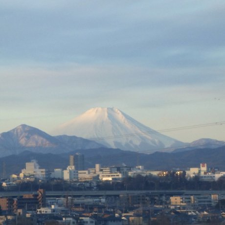 Mt. Fuji Views from Spots in Tokyo 