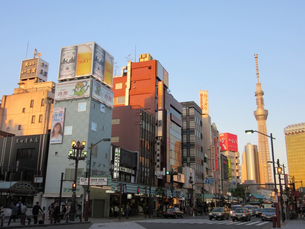 Asakusa and Skytree in the evening