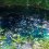 Aomori's Hypnotizing Lake