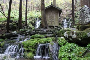 Yamagata: Spiritualism and Nature