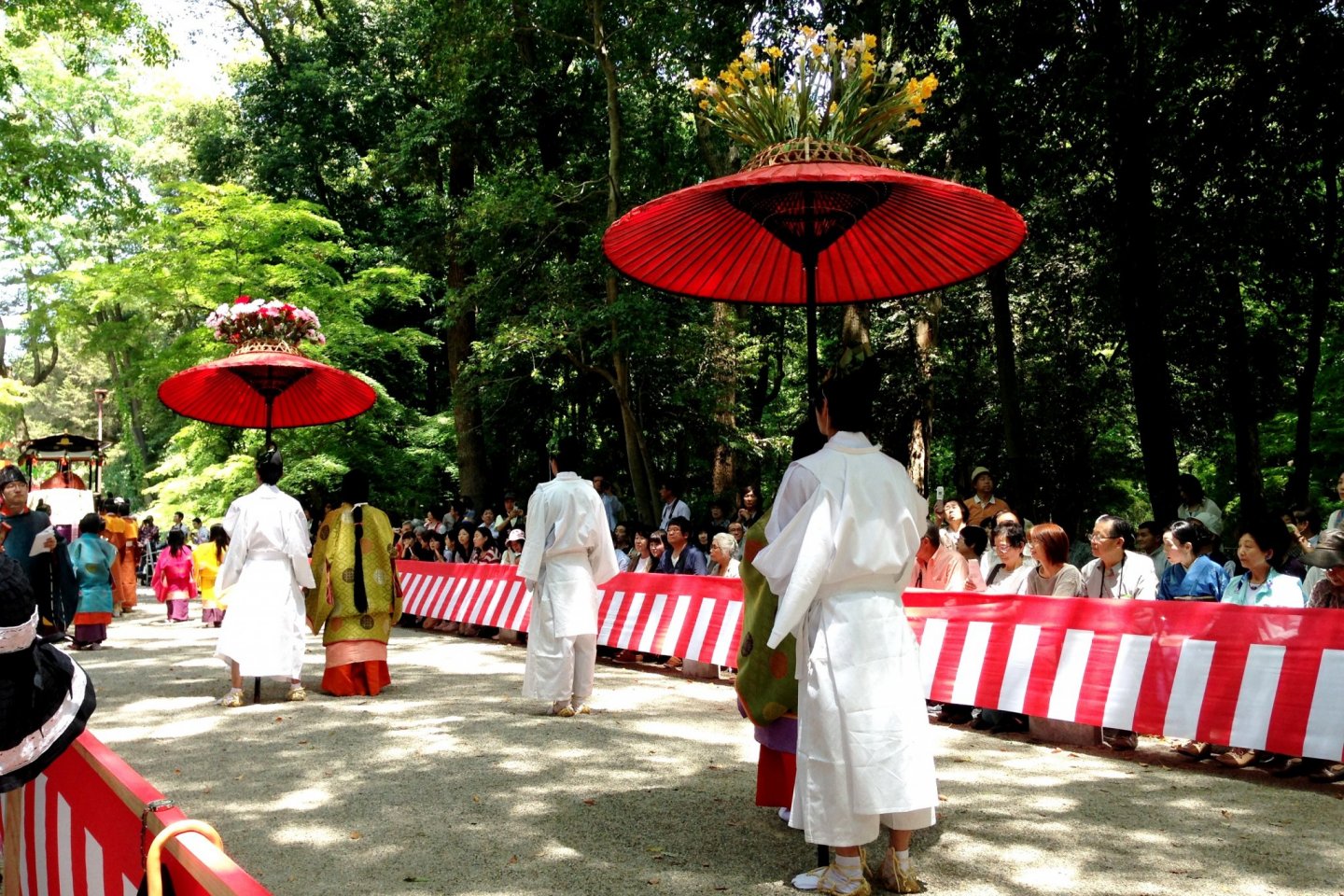 Experience the Aoi Festival at Shimogamo Shrine
