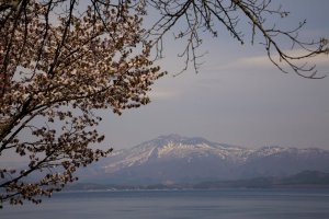 Cherry blossoms create a lovely frame for Lake Tazawa