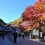 Mount Takao Autumn Leaves Festival 2024