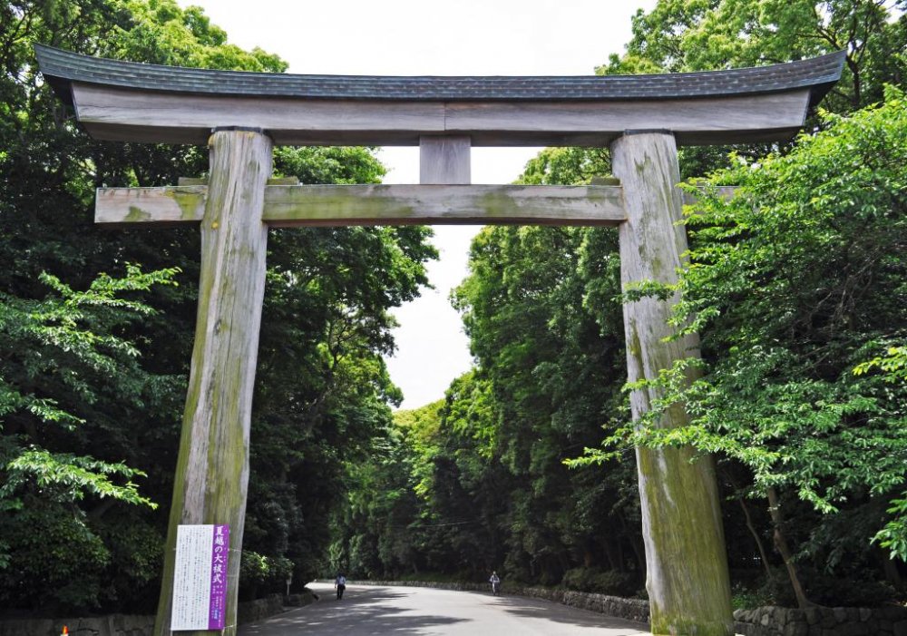 The impressively tall torii gate made of Japanese cypress.