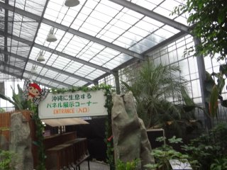 The enclosed area of the Ryugujo Butterfly Garden where the butterflies land on you if you wear the red hats provided