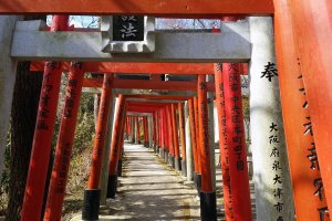 A path of torii gates on the way up to the Kuhatsu-Goho