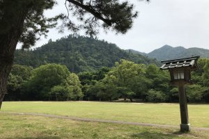 The green grounds of Izumo Taisha