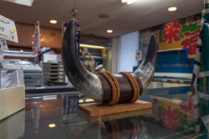 A part of Oki&#39;s rich culture that you can check out in the shop (these are real bull horns)