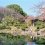 Asakusa's Denboin Garden