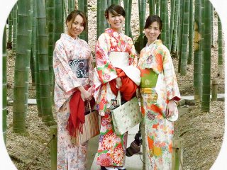 Girls wearing traditional kimonos in the bamboo grove