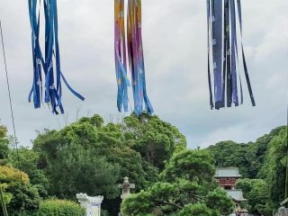 Colourful streamers