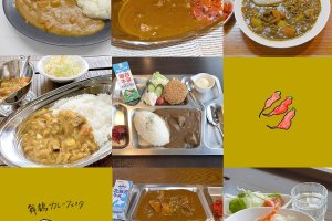 Maizuru Curry Festa