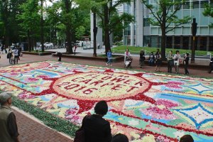 A look at the 2016 Sapporo Flower Carpet event