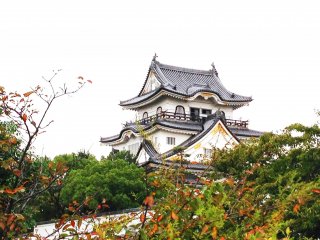 Glimpses of Kishiwada Castle as you approach from the street