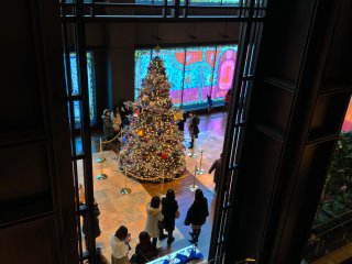 The Christmas tree attracts a lot of female visitors stopping by and taking snaps of themselves and the tree in the background.