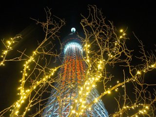 Christmas lights with the Skytree in the background as seen from the 7th floor of the&nbsp;Solamachi&nbsp;Mall