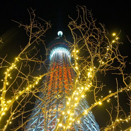 Christmas Lights at Tokyo Skytree