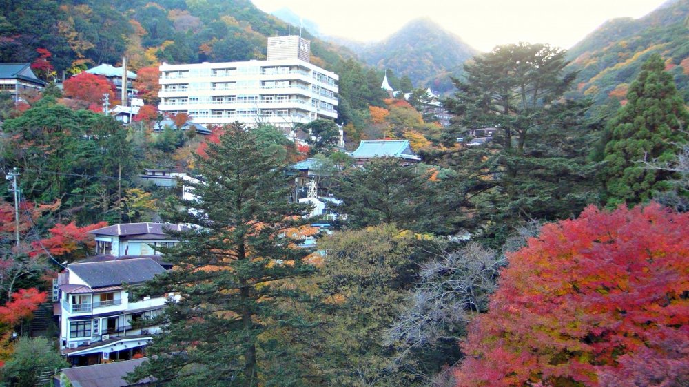 Enjoy its splendor and immerse yourself with the beautiful sights and the perfect scenery of the Gozaisho mountain painted with striking autumn colors.