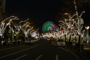 <p>Do not mistake the illumination for Christmas time celebrations. The light-up is an all&nbsp;year round event on the road leading to the Mosaic Mall.&nbsp;</p>