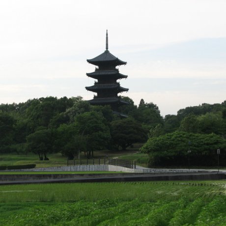 Bitchu Kokubunji and Pagoda