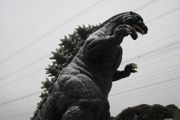 <p>A side view of the Godzilla Slide.</p>