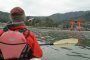 Miyajima Kayaking with Paddle Park