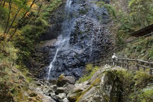 Shirai Falls in autumn