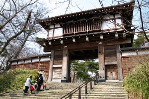 Kubota Castle steps