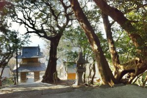 Mishima Shrine in Futami