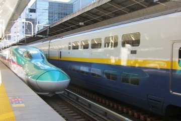 <p>E5 Hayabusa ตัวหลักในสาย Tohoku Shinkansen
&nbsp;</p>